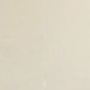 Stretch Velvet - Ivory